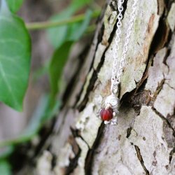 Loa Vedh�ng Special Edition - Efter�r 2024